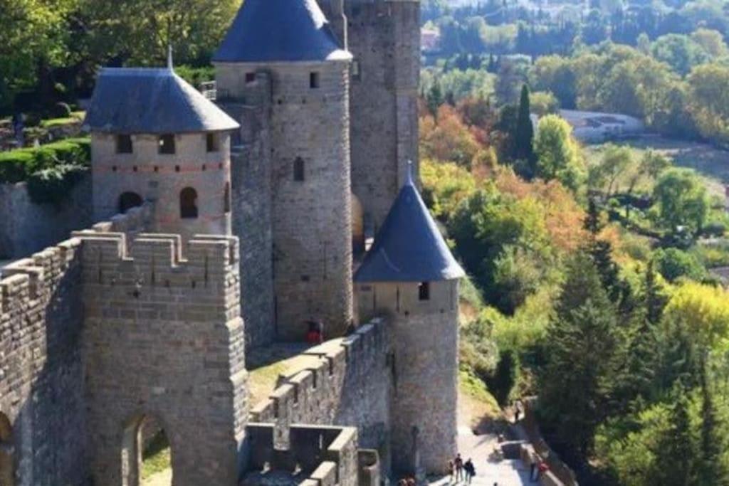 Dame Carcas Apartman Carcassone Kültér fotó